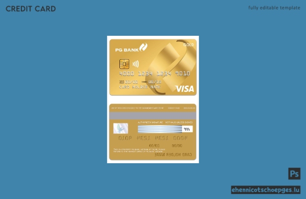 Beispielvorschau der Vietnam PG Bank Visa Goldkarte